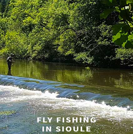 Fly fishing in Sioule